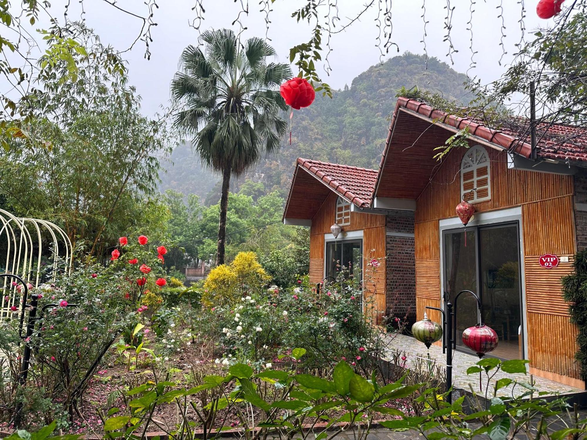נין בין Hoanglong Riverside Homestay מראה חיצוני תמונה